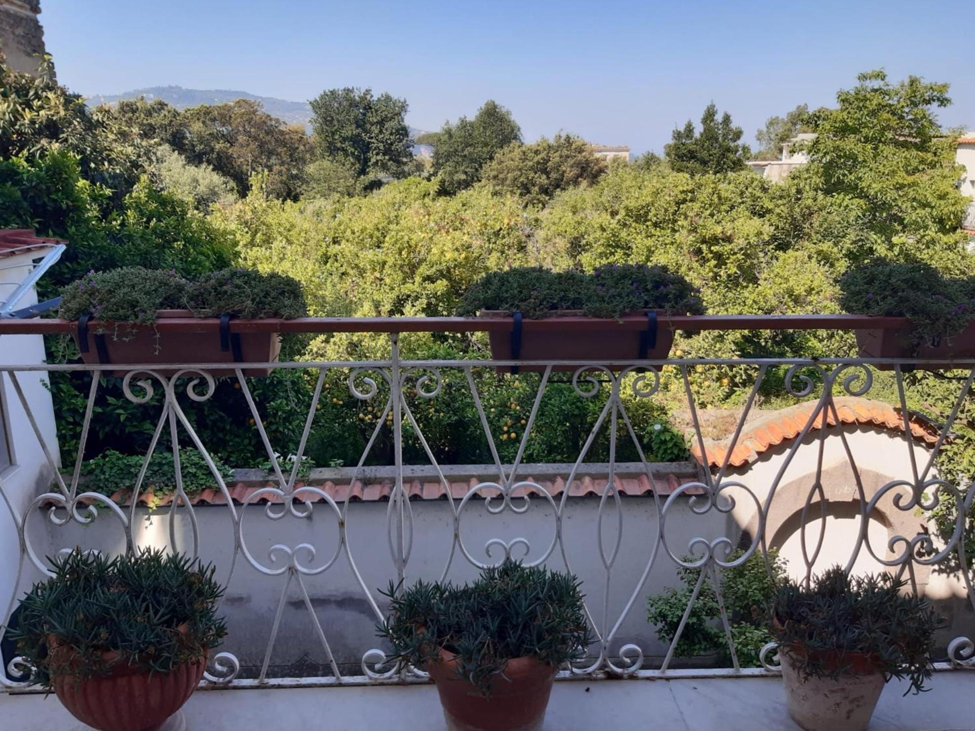 La Casa Di Rosa - Casa Vacanze Meta Luaran gambar