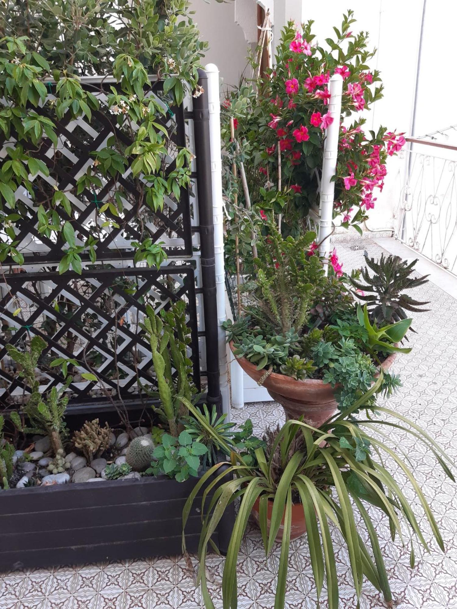 La Casa Di Rosa - Casa Vacanze Meta Luaran gambar